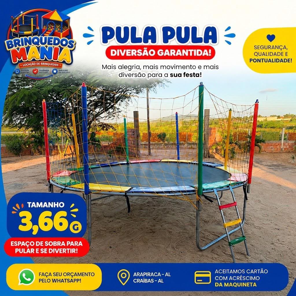Foto do brinquedo Cama Elástica (Pula pula G)